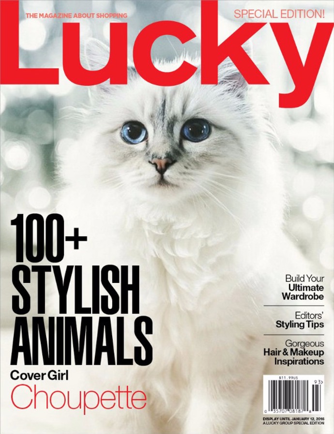 Chopette na obálce Lucky