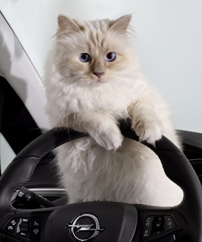 Choupette v reklamě na Opel