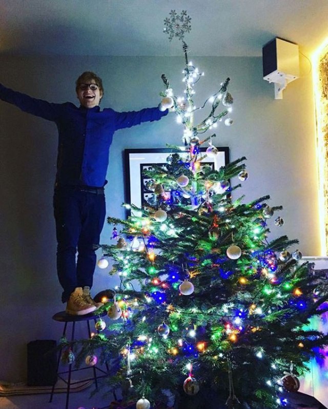 ed sheeran christmas tree 16524 ed sheeran christmas tree 16524
