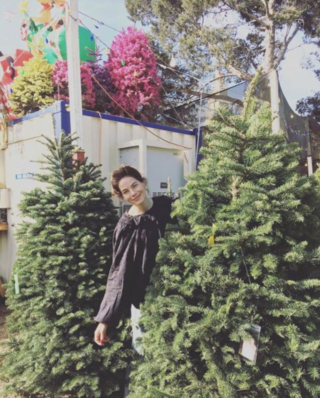 michelle monahan christmas tree 80927 michelle monahan christmas tree 80927