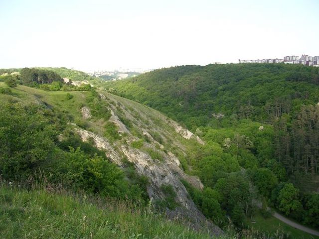 prokop de0a1 prokop de0a1