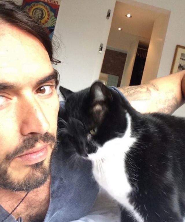 russell brand morrissey the catjpg 4dc4e russell brand morrissey the catjpg 4dc4e