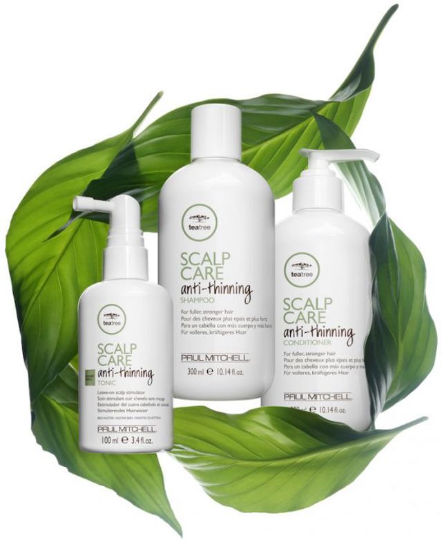 TeaTree Scalp Care Group Artistic hpr 2f9ed TeaTree Scalp Care Group Artistic hpr 2f9ed