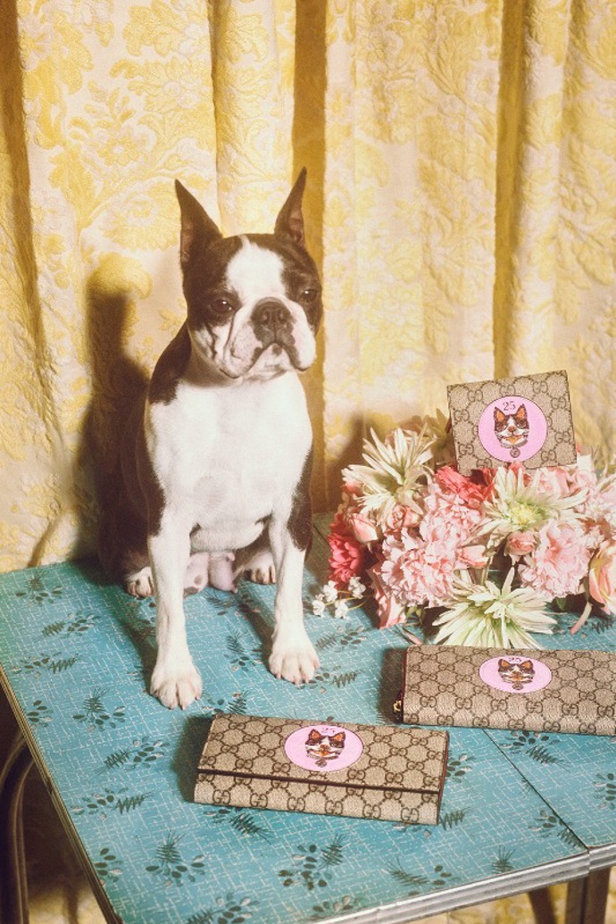 Gucci