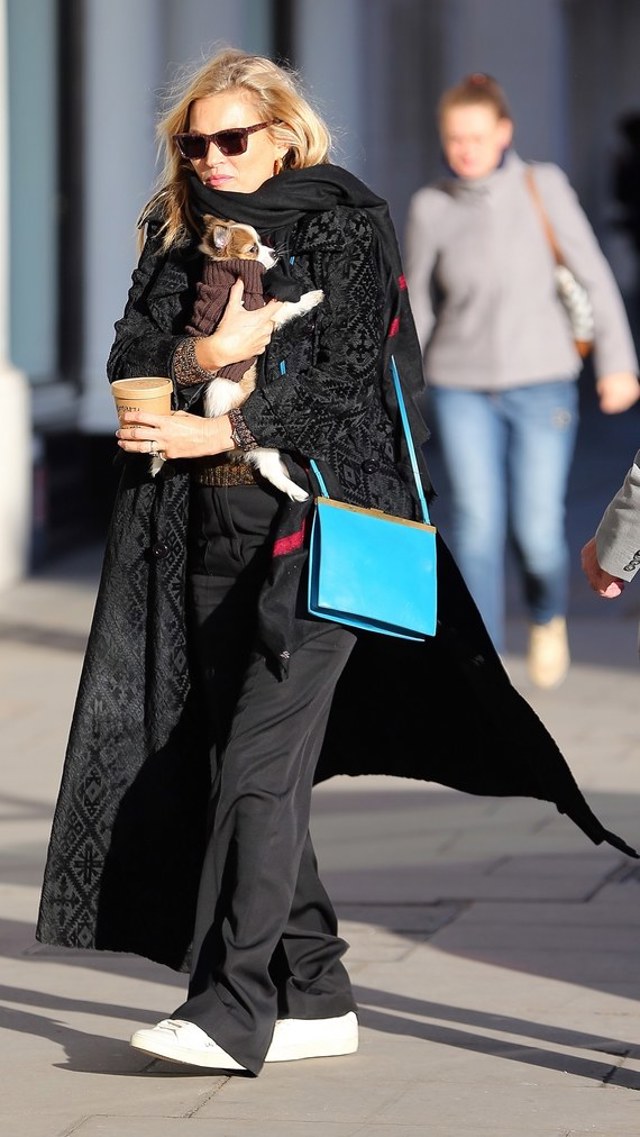 kate moss post thanksgiving dog celebrity street style story 31703 kate moss post thanksgiving dog celebrity street style story 31703