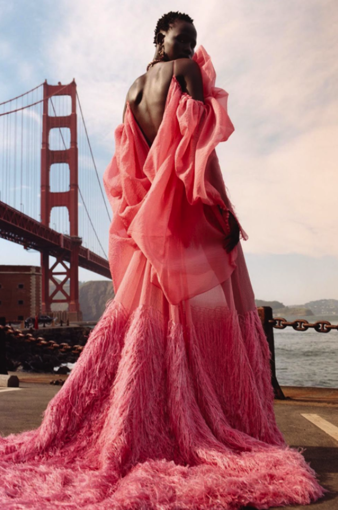Alexander McQueen

Modelka: Shanelle Nyasiase

Fotograf: Jamie Hawkesworth
