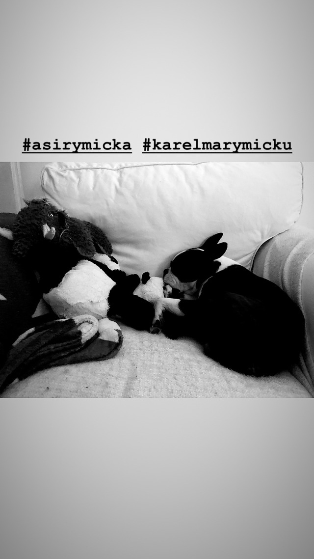 KarELLE: co se dělo  v redakci 9