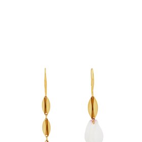 Albus Lumen X Ryan Storer
