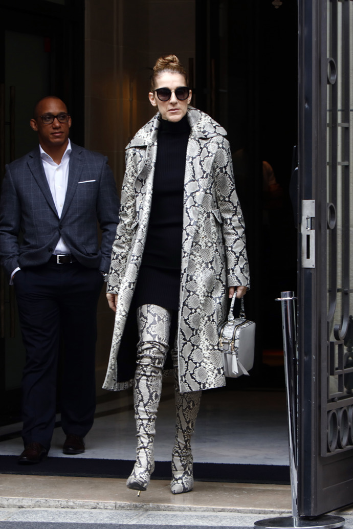 30 nejlepších stylingů Céline Dion: