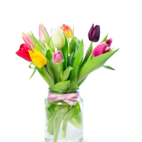 mix tulipánů, Rohlik.cz, 149 Kč
