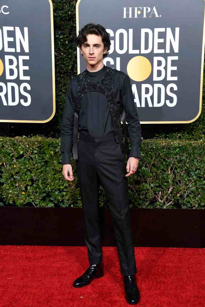 Herec Timothee Chalamet na 76. předávání cen Zlatého Glóbu
Herec Timothee Chalamet na 76. předávání cen Zlatého Glóbu
