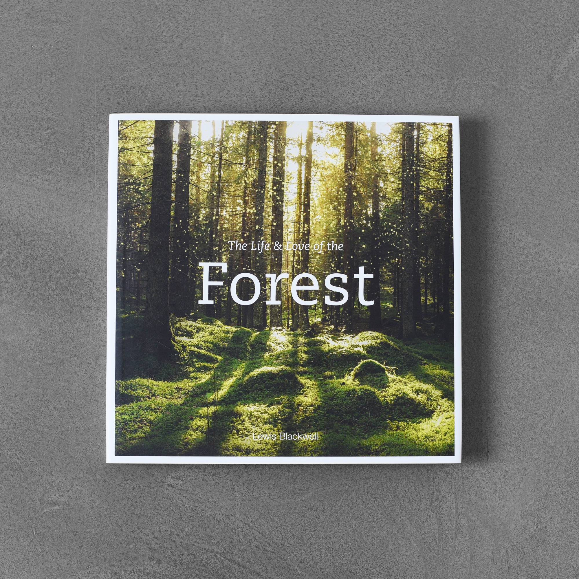 The Life & Love of the Forest