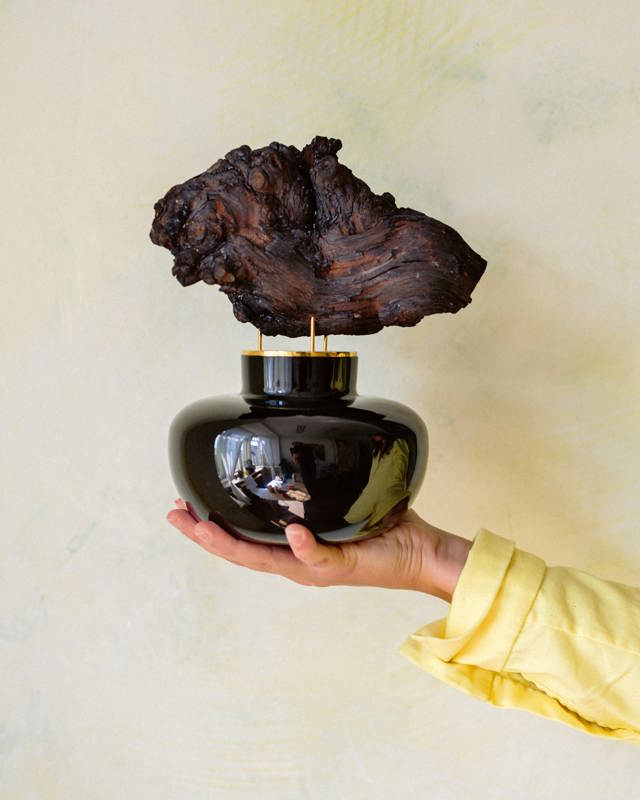 Kateřina Šantrochová, Scent Roche