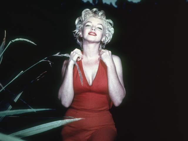  

Život Marilyn Monroe byl nesmírně komplikovaný a je kolem něj stále mnoho otazníků. Co však zůstává jasné jako slunce jsou její bombshell blonďaté vlasy, které k ní neodmyslitelně patří a vybaví si je okamžitě naprosto každý. Nicméně byly to nakonec ony, co jí vyneslo do hvězdných výšin Hollywoodu. 
