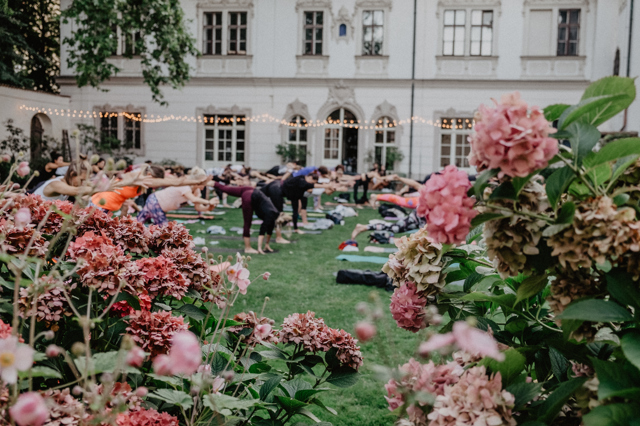 Yoga Movement Experience