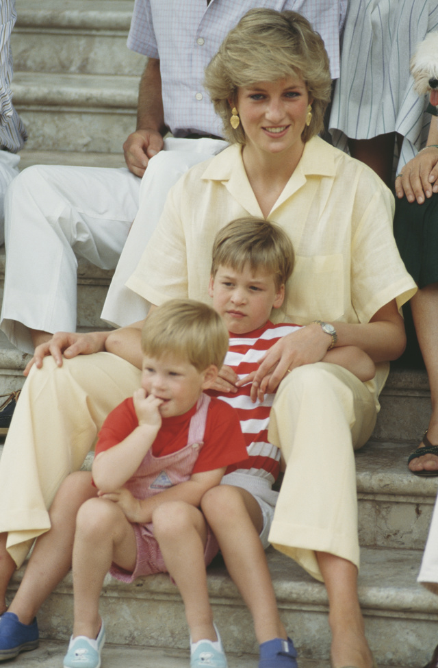 Princezna Diana s princem Williamem a princem Harry Princezna Diana s princem Williamem a princem Harry