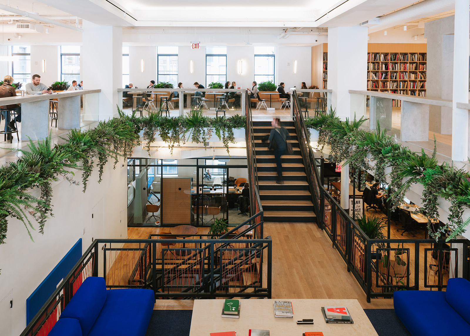 WEWORK WEWORK