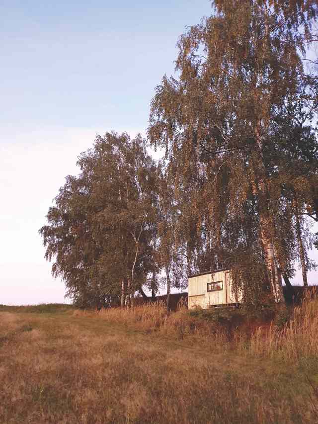 Včelíny želiv 