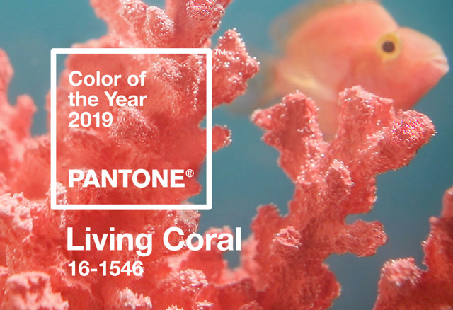 Living Coral
Living Coral