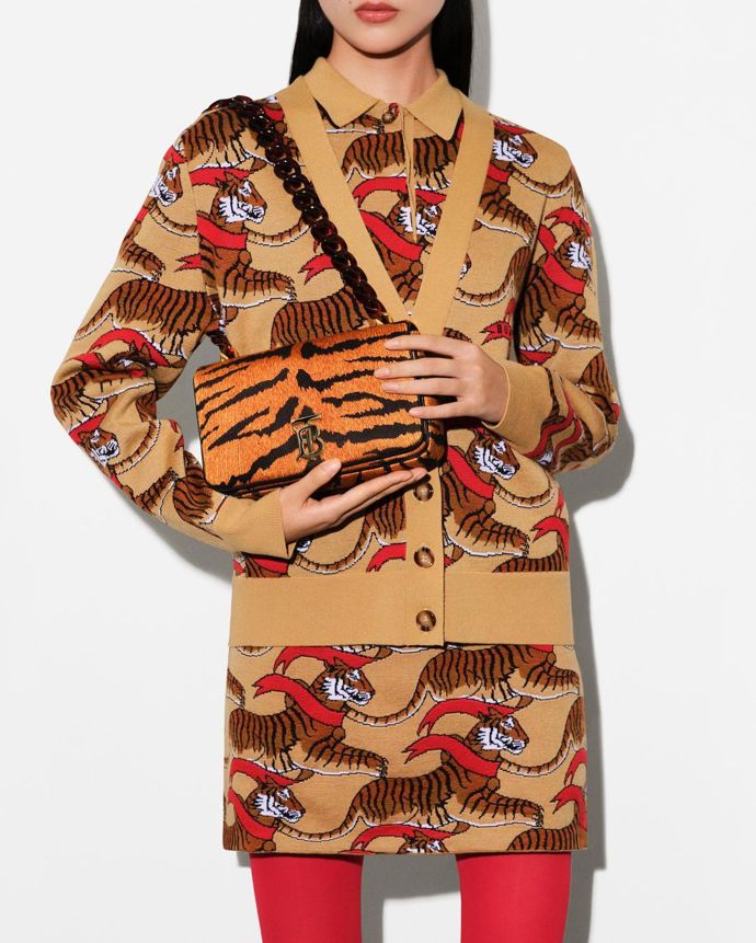  

Taková značka Burberry jen oblékla své modely do docela neočekávaných tygřích vzorů a poskytla tak nový pohled na své signature kousky.
