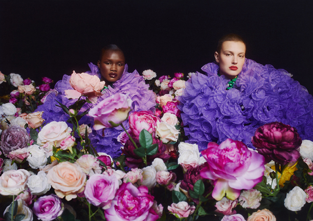 Iris&HM Iris&HM