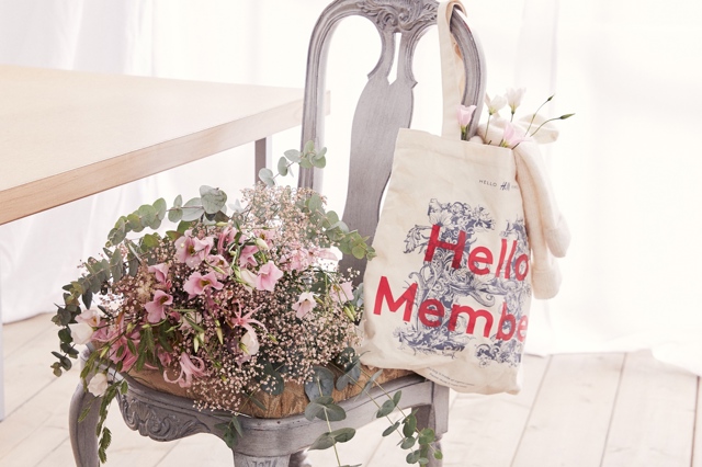 Hello Member H&M