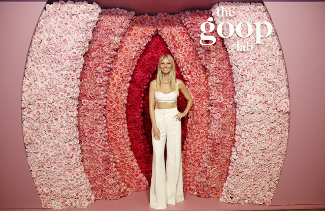 Paltrow v roce 2020 Paltrow v roce 2020