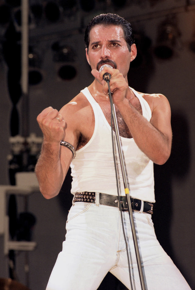  

Freddie Mercury v jednoduchém, ale jeho osobnost vystihujícím modelu. 
