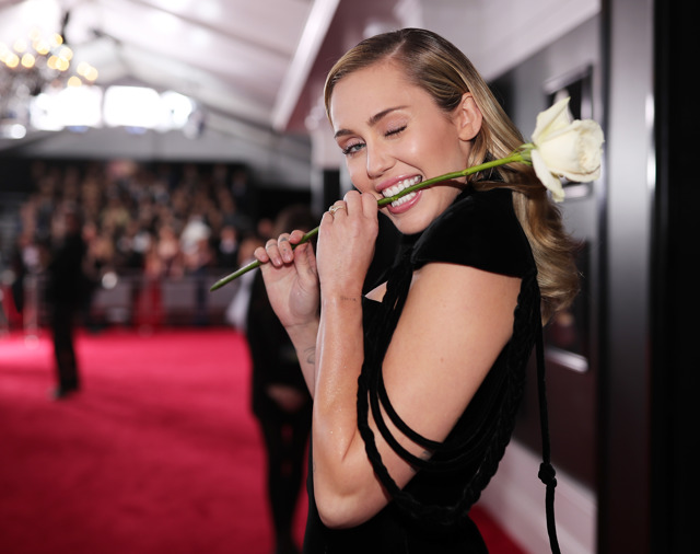 Miley Cyrus Miley Cyrus