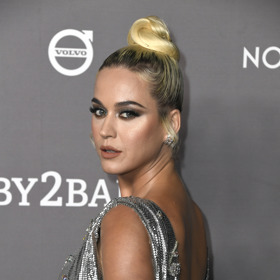 Zpěvačka Katy Perry
Zpěvačka Katy Perry