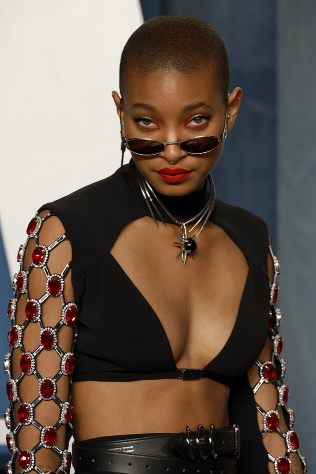  

Willow Smith
