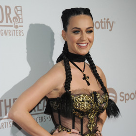 Zpěvačka Katy Perry
Zpěvačka Katy Perry