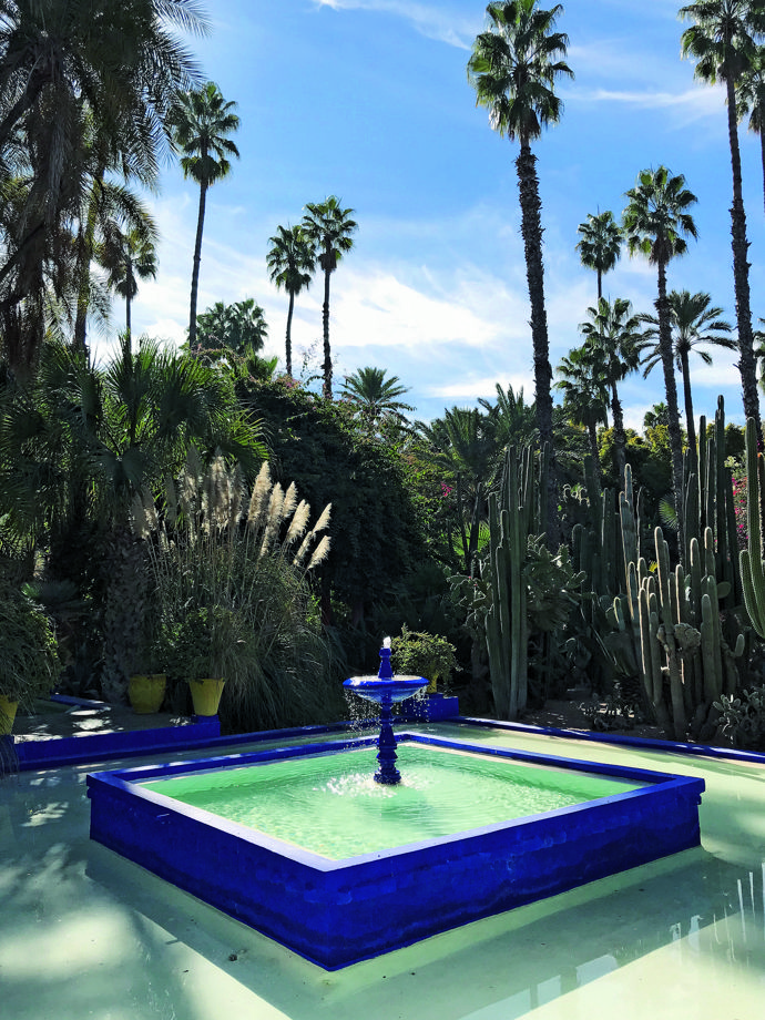  

Barevné tóny v Jardin Majorelle se mění podle slunce.
