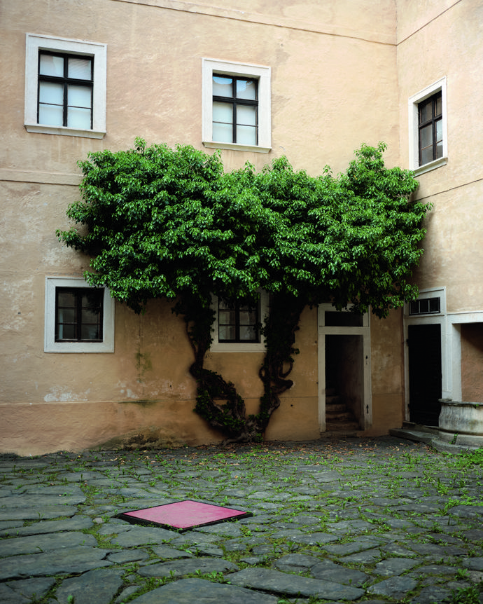 Hrad Buchberg v Dolních Rakousích