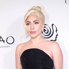  

Zpěvačka Lady Gaga a její současná image
