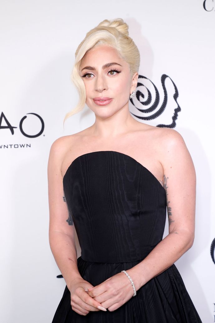  

Zpěvačka Lady Gaga a její současná image
