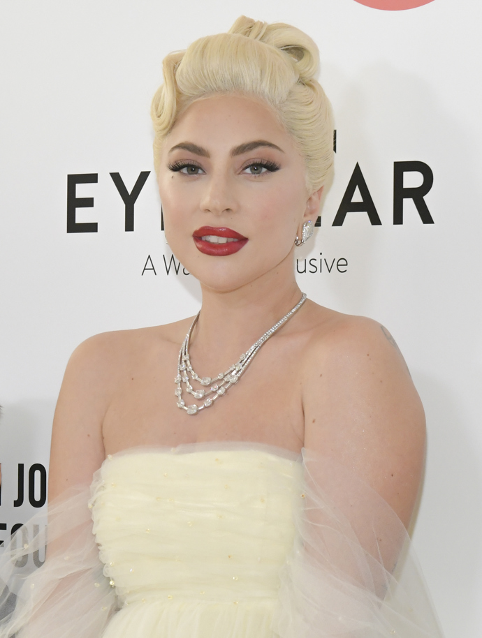  

Zpěvačka Lady Gaga a její současná image
