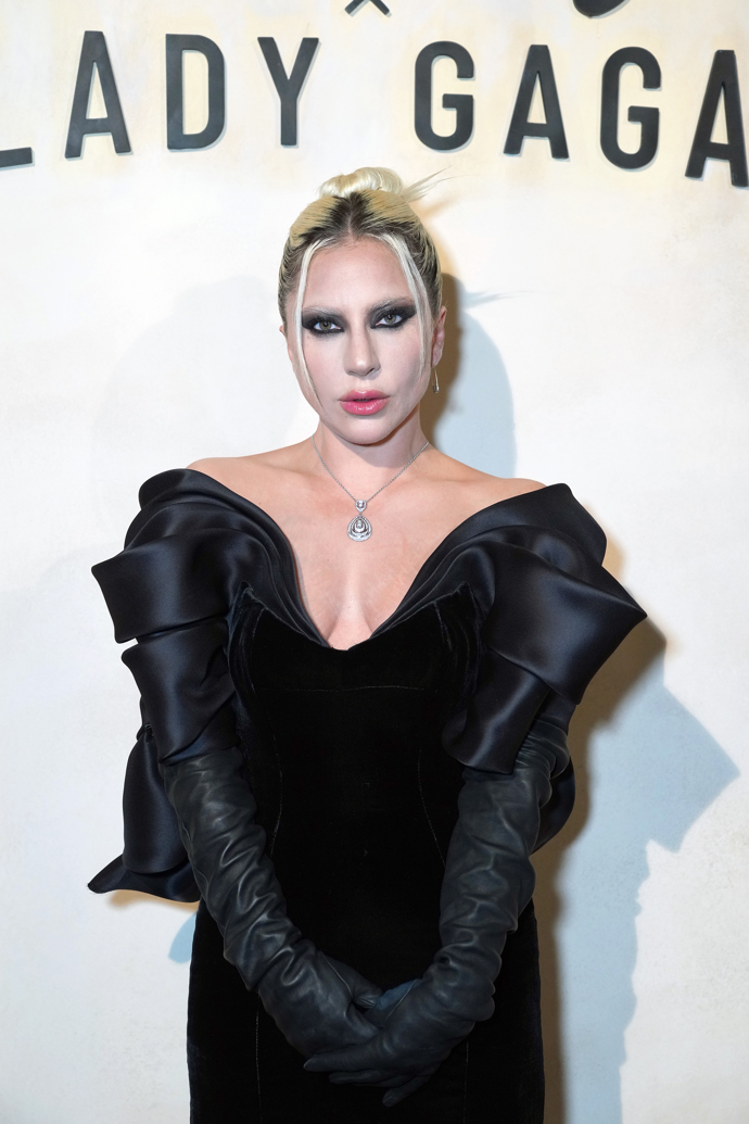  

Zpěvačka Lady Gaga a její současná image
