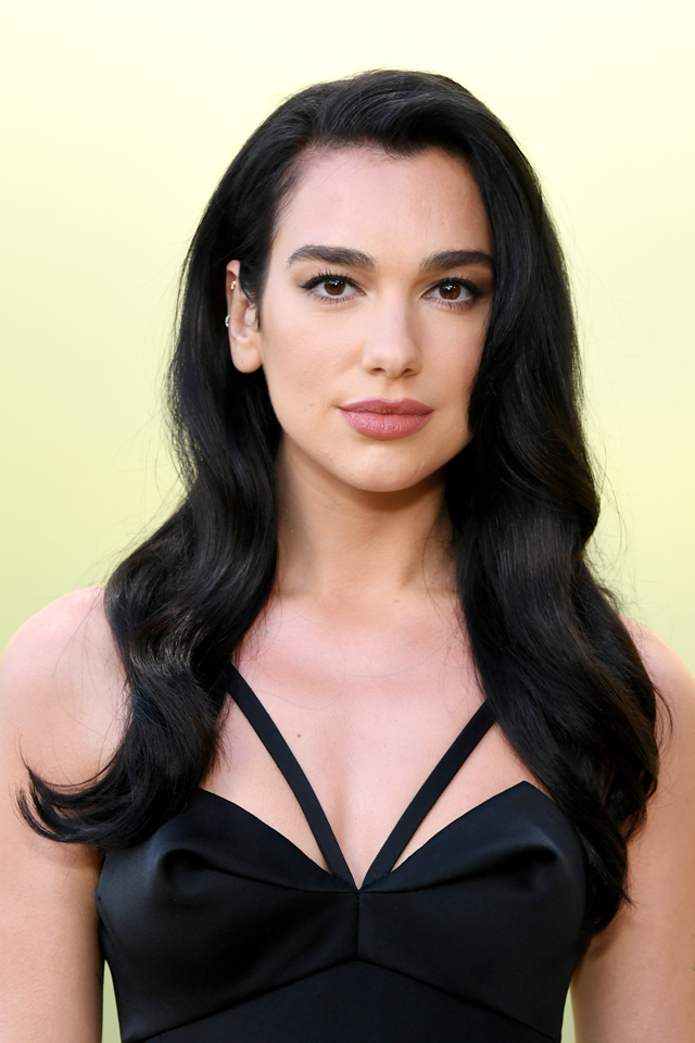 Dua Lipa je majitelkou rovného obočí
Dua Lipa je majitelkou rovného obočí