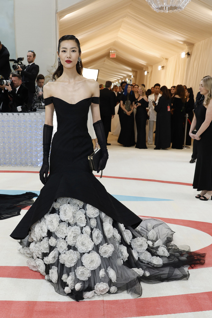 Liu Wen
