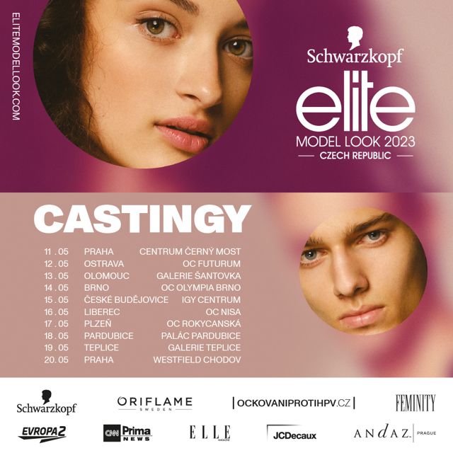 Schwarzkopf Elite Model Look Schwarzkopf Elite Model Look