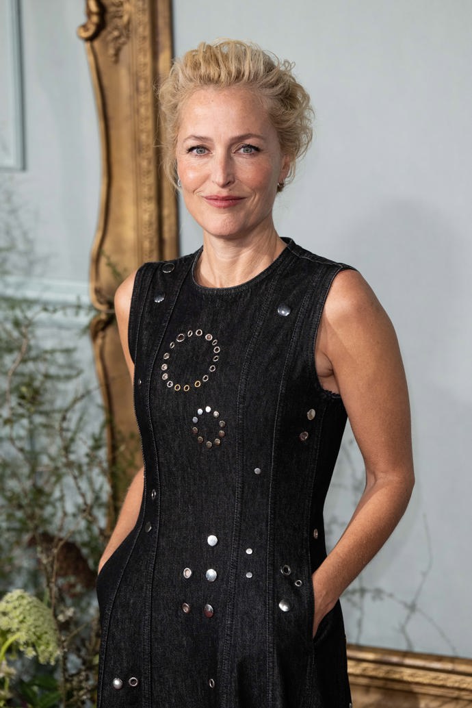  

Gillian Anderson znovu září, tentokát jako hvězda Sexuání výchovy
