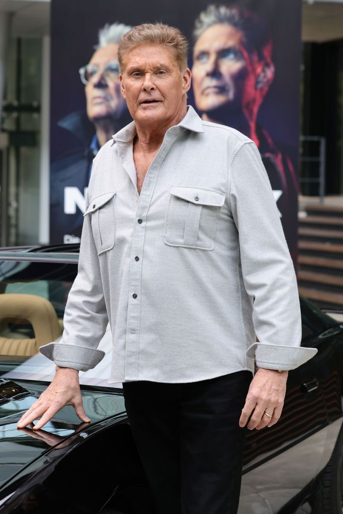  

David Hasselhoff dnes
