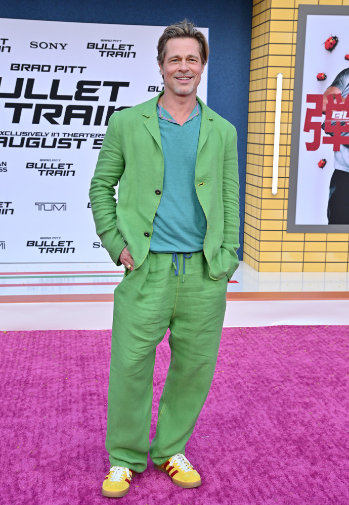  

Brad Pitt stárnutím sex-appeal neztrácí
