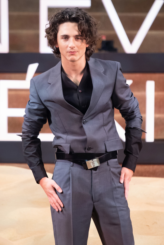  

Herec s americko-francouzskými kořeny Timothée Chalamet 
