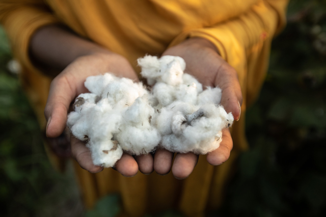 Seznamte se s iniciativou Better Cotton. Na srdci jí leží příroda Seznamte se s iniciativou Better Cotton. Na srdci jí leží příroda