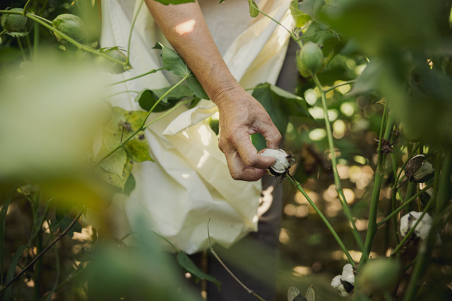 Seznamte se s iniciativou Better Cotton. Na srdci jí leží příroda Seznamte se s iniciativou Better Cotton. Na srdci jí leží příroda