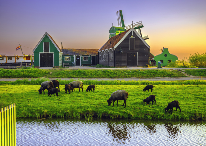  

Zaanse Schans, Nizozemsko
