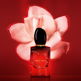 Nový parfém Sì Passione Eau de Parfum Intense od Armani Beauty Nový parfém Sì Passione Eau de Parfum Intense od Armani Beauty