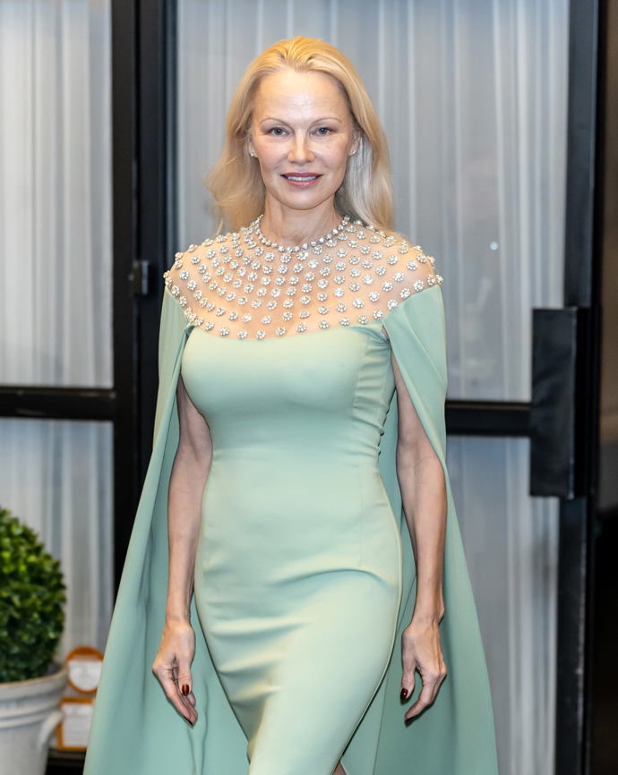  Pamela Anderson  bez make-upu